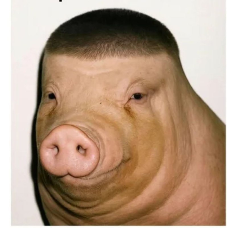 При этом в качестве поддержки бедных стран Африки Павлин выпустил дешевый неуникальный подарок на НГ