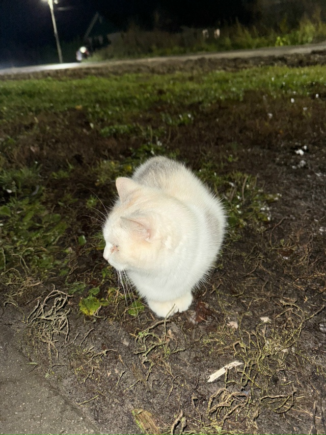 Может кто-то узнает своего друга
Сидит у интерната в г...