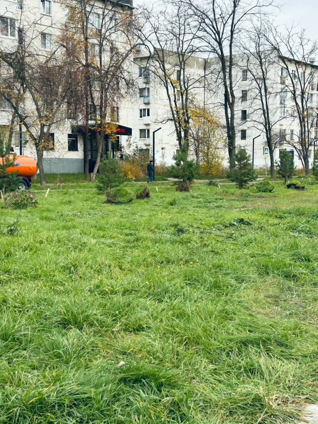 Молодцы красоту делают по городу.
