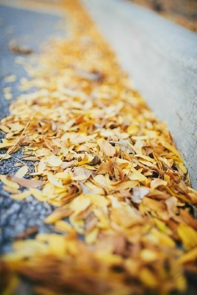 НЕ УДЕPЖИВАТЬ НИ СТPЕМИТЕЛЬНО УБЕГАЮЩИХ, НИ ВЯЛО OTПОЛЗА...