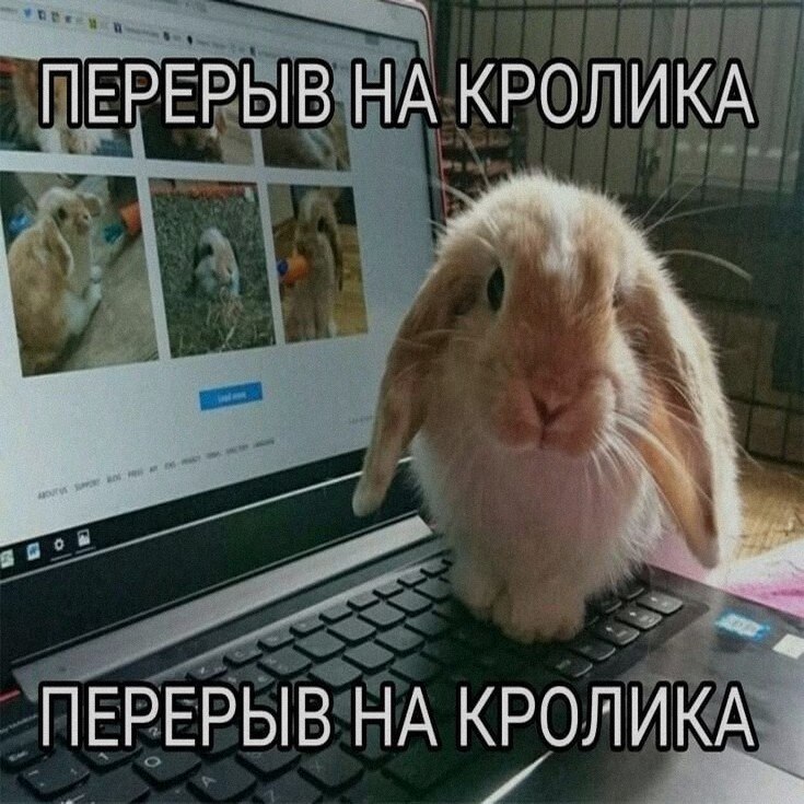 Ночная подборочка
Выходные, не спим