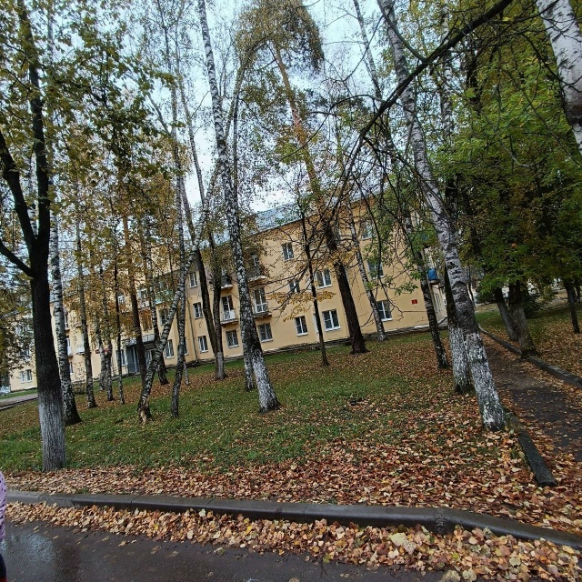 ⚡ В военном городке
Около д. 4 скоро на кого-нибудь мож?...