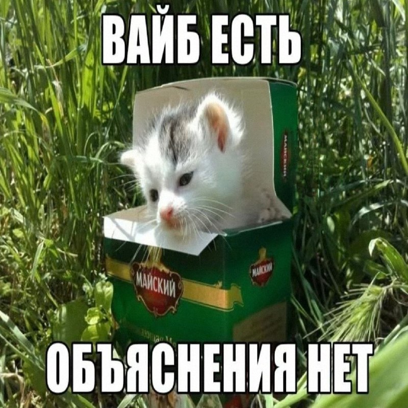 Утренняя подборочка