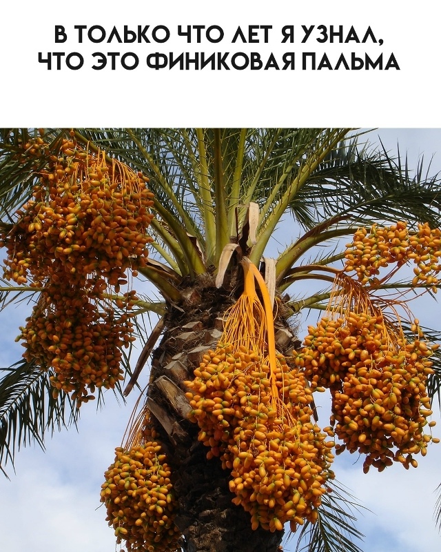 А ведь я не всё знал...