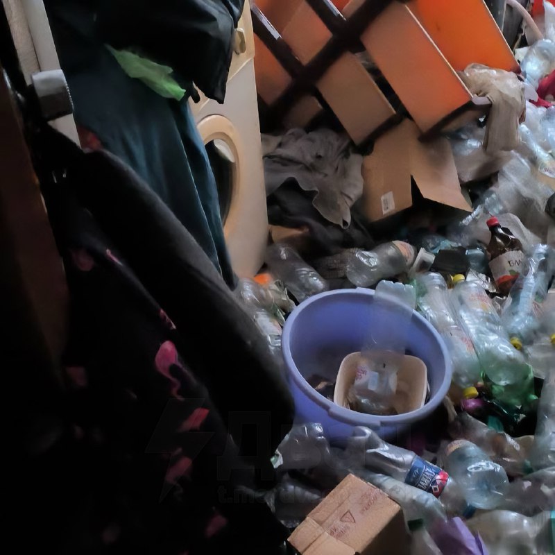 Российская альтушка превратила съёмную квартиру в свалку — среди мусора даже нашли мёртвую кошку
Жи