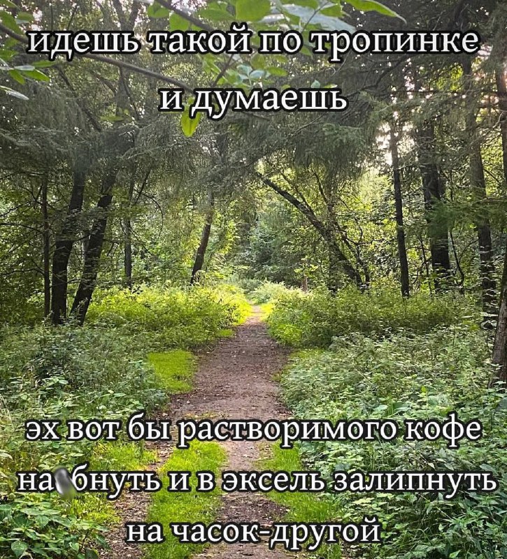 Утренняя подборочка