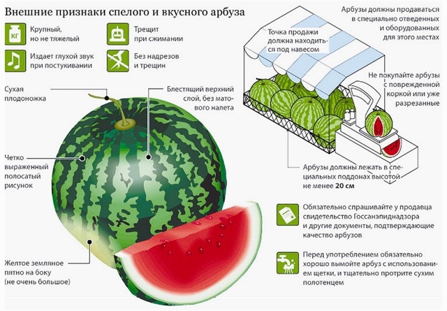 Выбираем спелый и безопасный арбуз