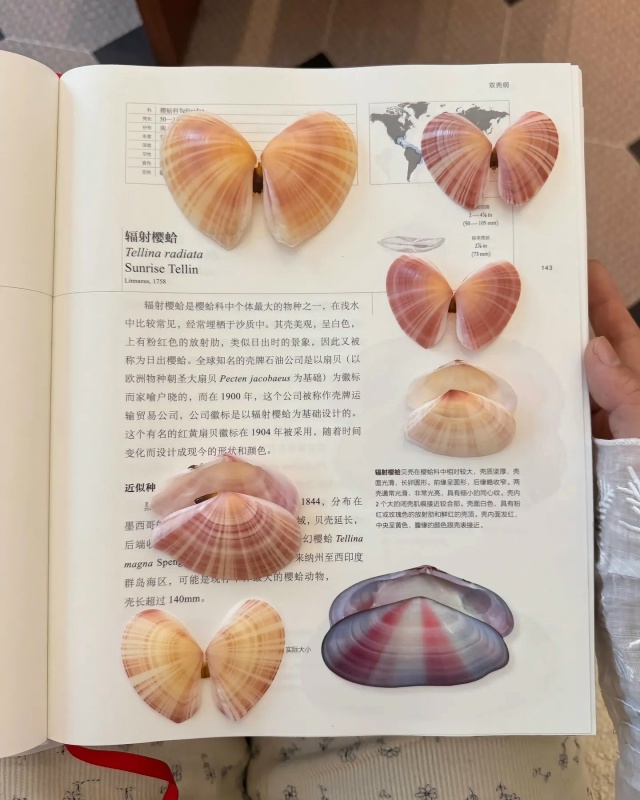 Потрясающая коллекция