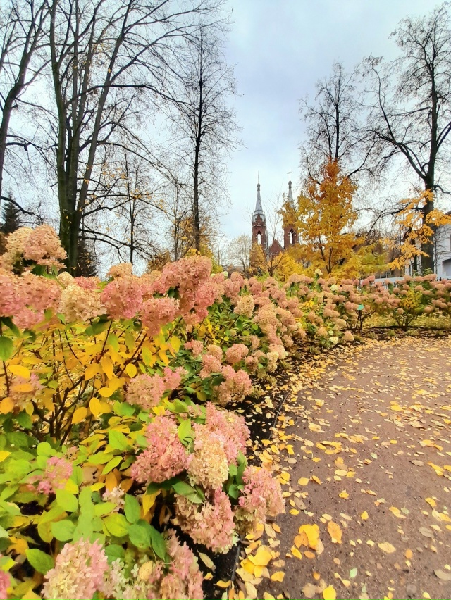 Осень в Карякинском саду ❤️
📷 Елена Михайлова