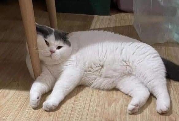 Любовь и забота. Спасибо тем, кто не оставляет в беде бр...