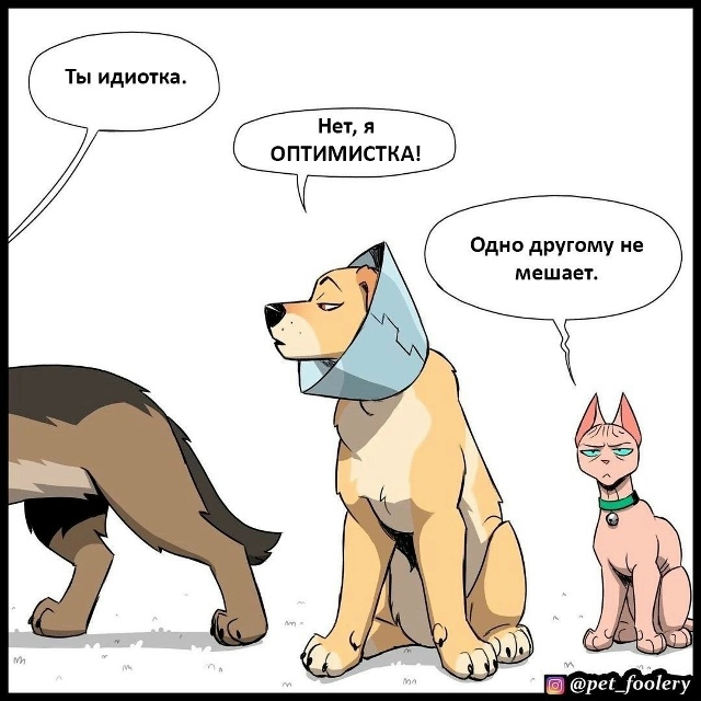 А чесаться так и хочется