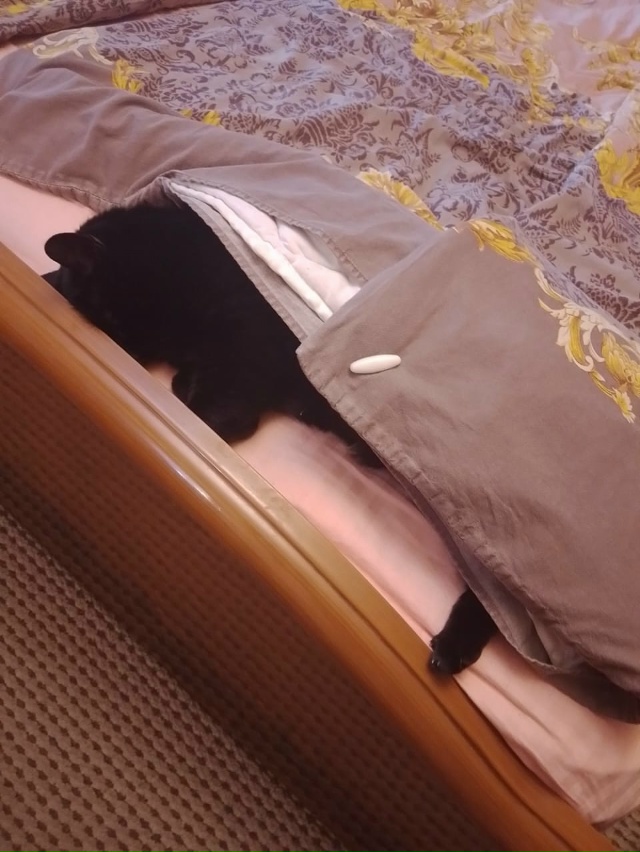 Лариса к зиме готова.