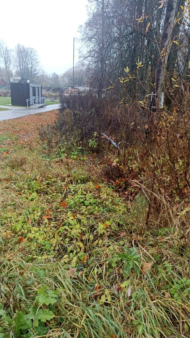 Хочу обратиться к службе, которая занимается освещени?...