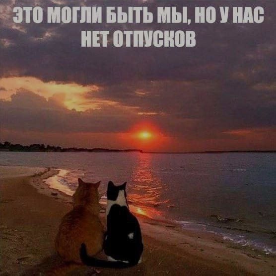 Ночная подборочка
Выходные, не спим