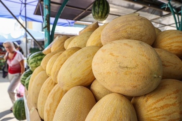 Продам дыни
89619362794
