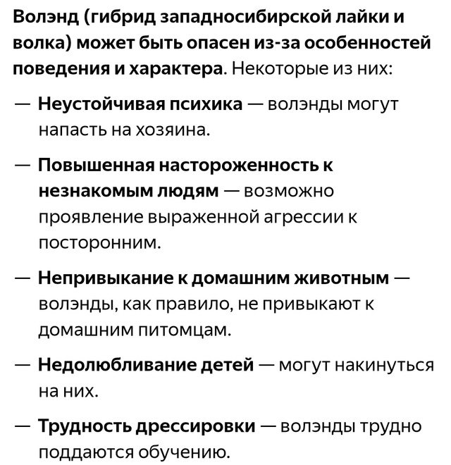 ОПЯТЬ СОБАКИ НА САМОВЫГУЛЕ!!!
Сегодня в д. Александровс?...