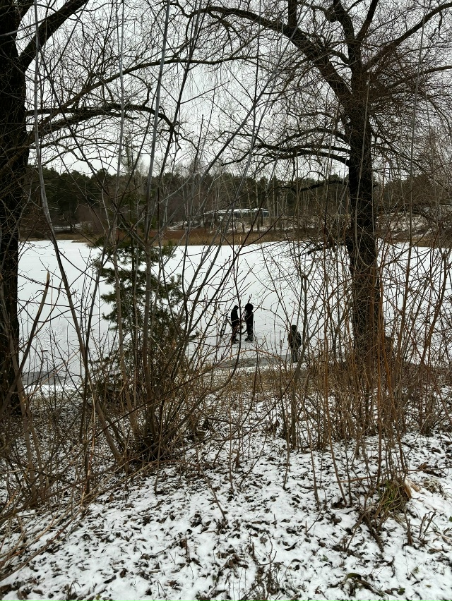 Может кто-то узнает своих детей? На Кротовском озере (к?...