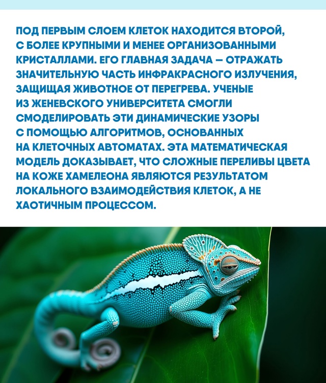 Способность природы создавать сложные системы на микр...