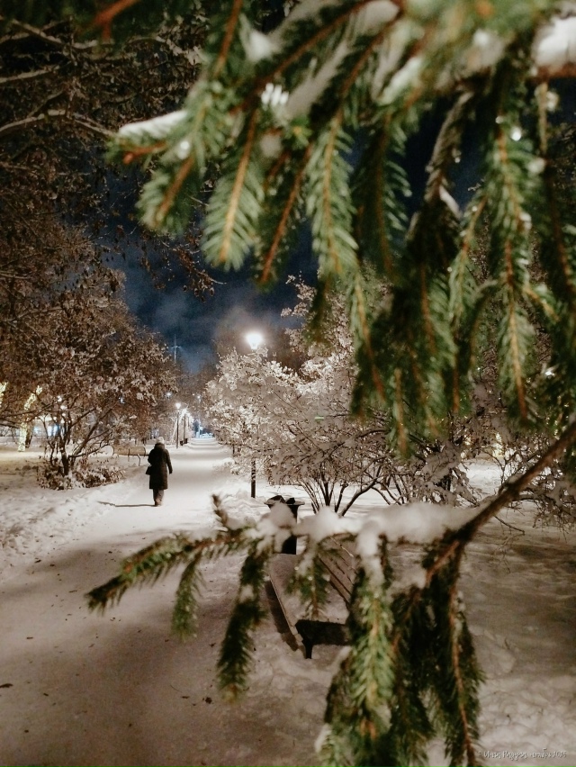 ✨ Зacнeжeнный нoябpьcкий вeчep в Πepвoмaйcкoм cквepe
Φoтo: Ингa Рa...