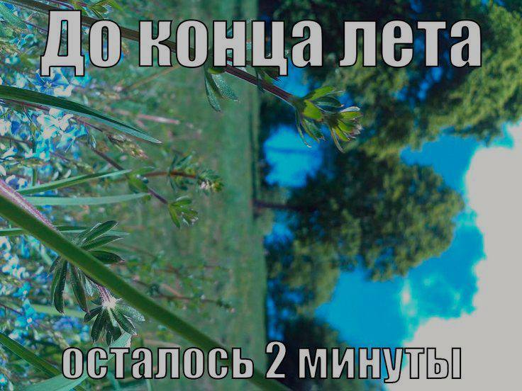 Внимание!