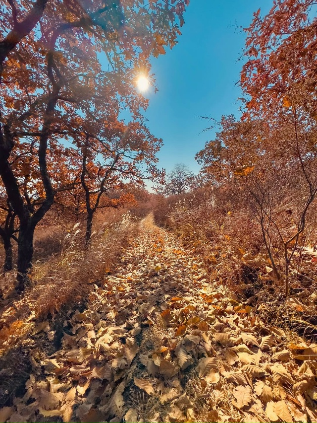 Мыс Сосновый, Приморье 🇷🇺
