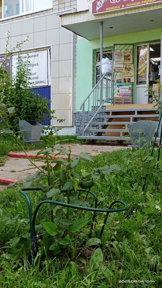 Здравствуйте. Около магазина 