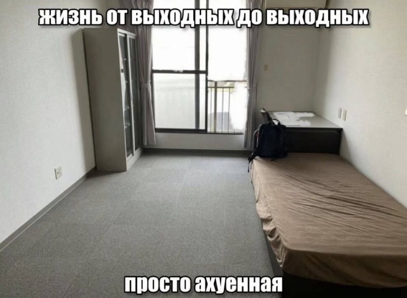 Утренняя подборочка