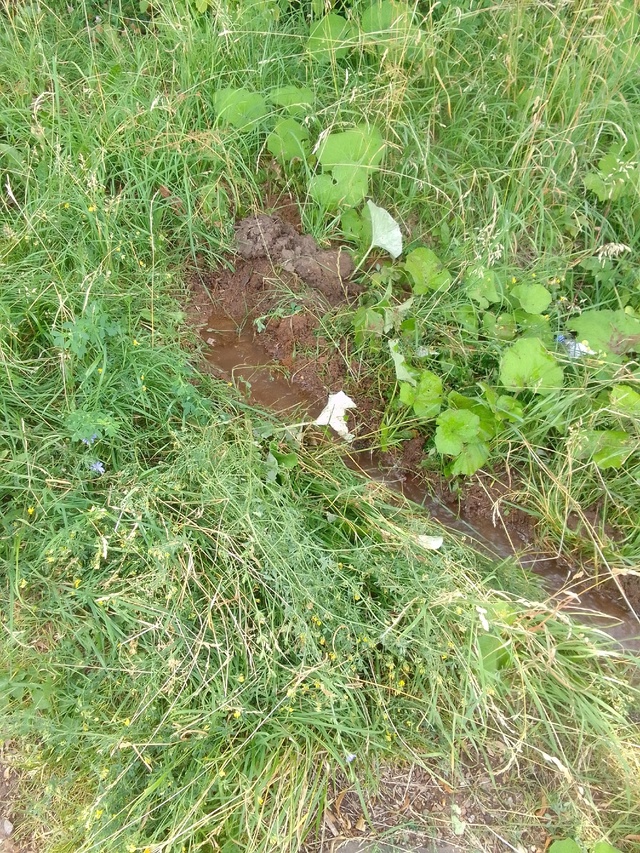Водоканал ! Вам сколько могут звонить уже ? На ул. Кома?...