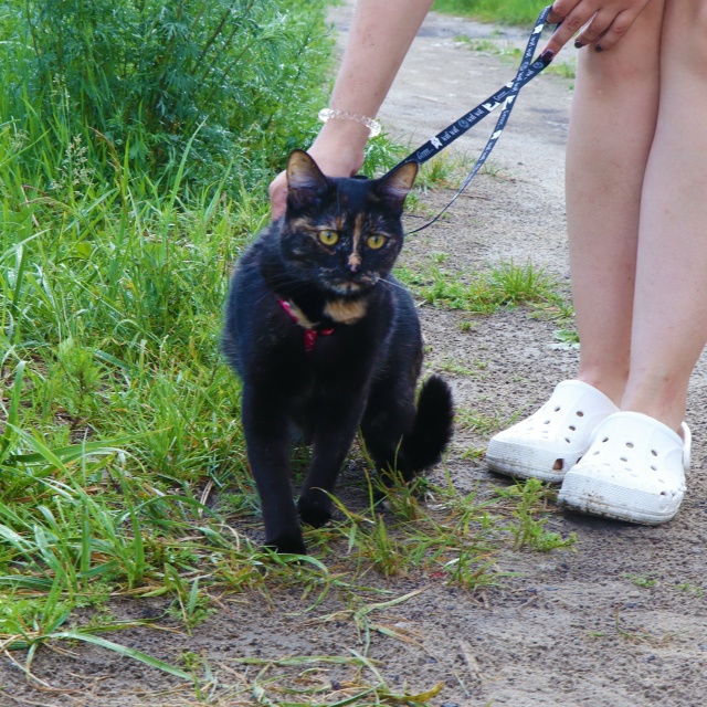Очаровательная Мия очень ждет встречи со своей семьей?...