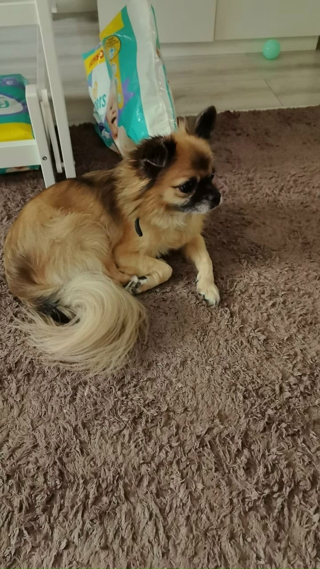 Пропустите, пожалуйста
🆘️🆘️🆘️🆘️🆘️🆘️🆘️🆘️?...