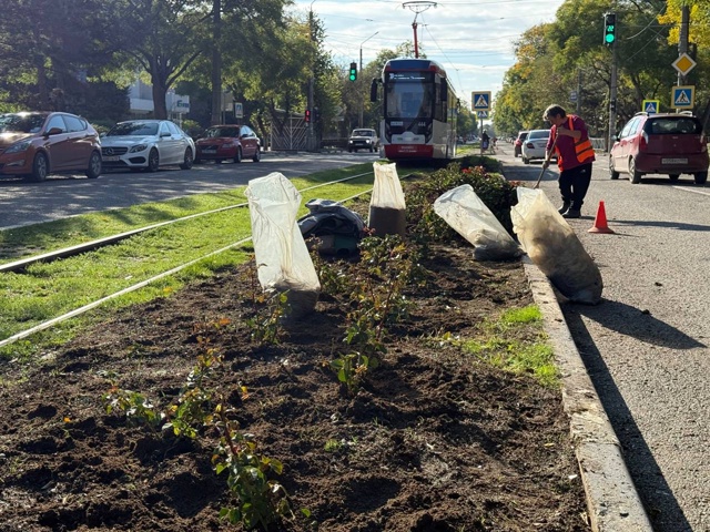 🌹Улица Фрунзе продолжает преображаться.
Озеленители...