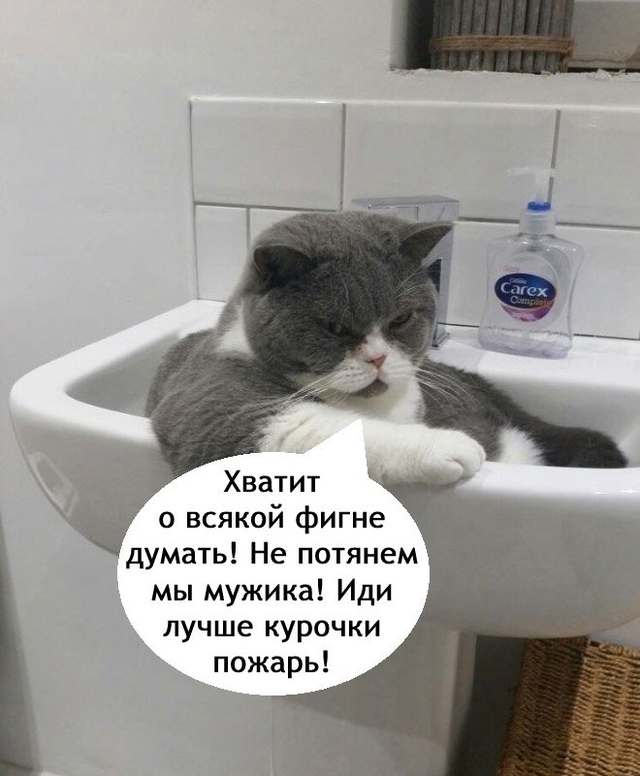 Вот именно, не морочь голову😅