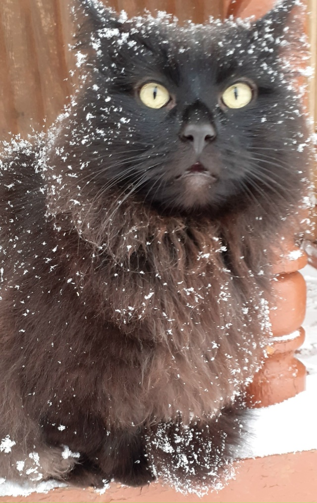 Что это?Первый снег...
Фото:Маргарита Немкова