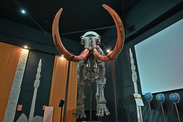 🐘 В Музее пермских древностей есть  огромный скелет ш...