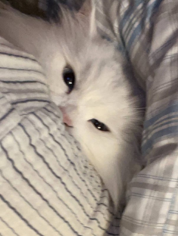 Укутываемся потеплее и спотб :3