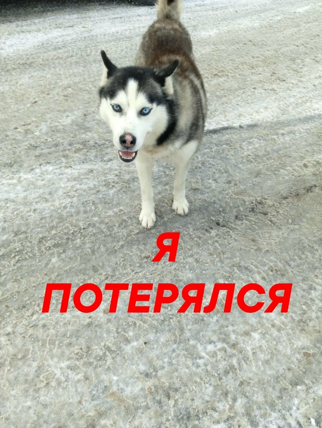 Пропустите, пожалуйста
🆘️🆘️🆘️🆘️🆘️🆘️🆘️🆘️?...