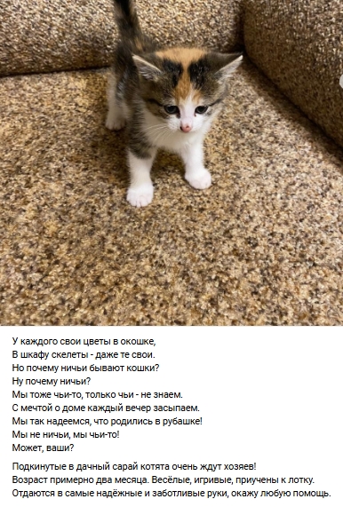 Пост добра. Распространите, пожалуйста.