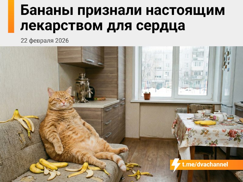 Бананы признали настоящим лекарством для сердца — они улучшают его работу и снижают давление
Главны