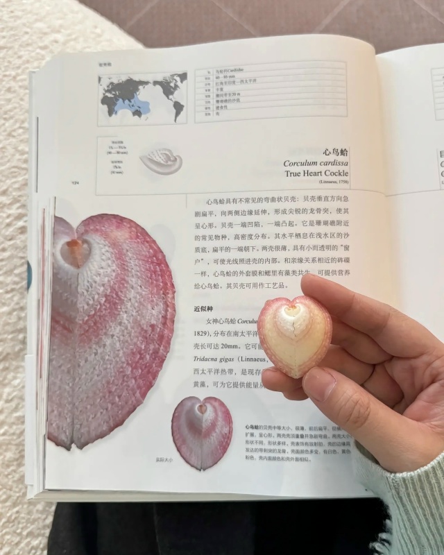 Потрясающая коллекция