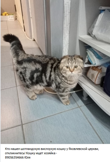 Пост добра. Распространите, пожалуйста.