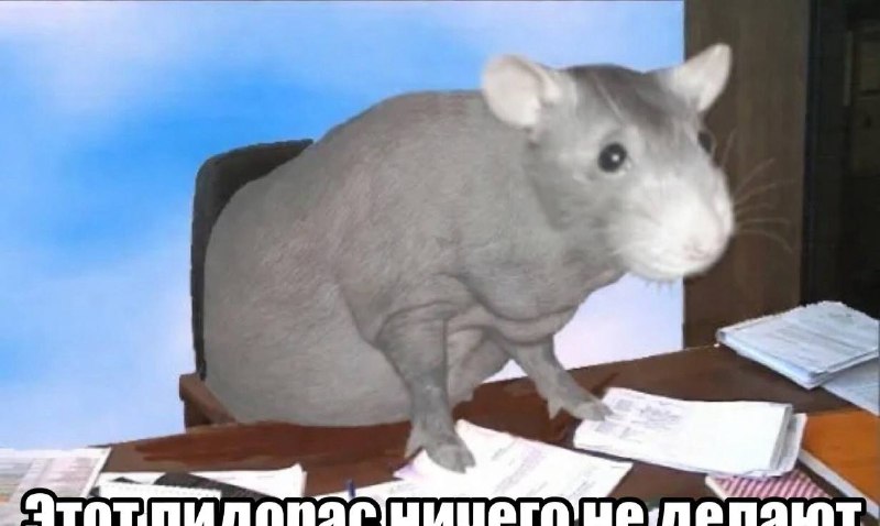 Женщина пыталась спалить коллегу, что он ничего не делает, но получила уголовку.
Она тайно установ