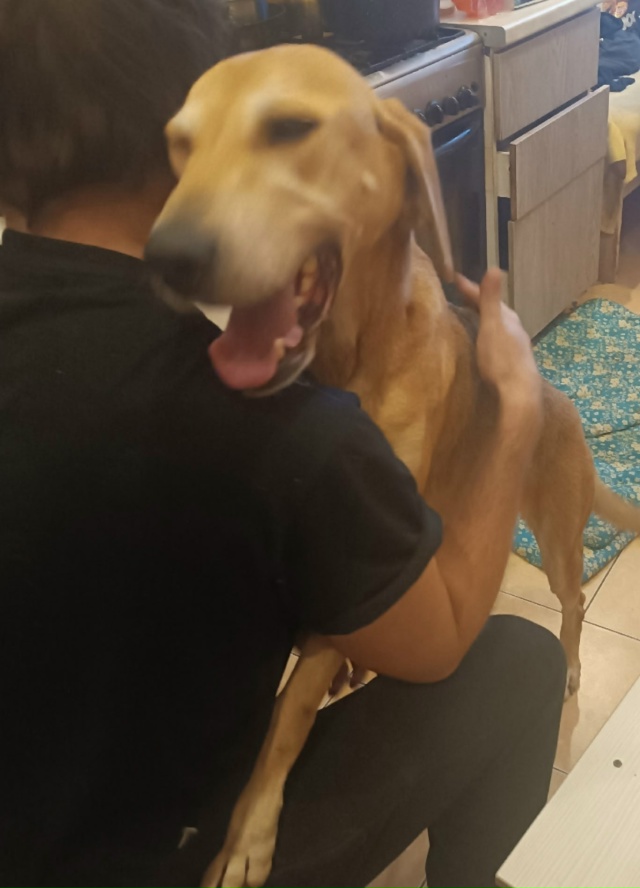 🆘️🆘️🆘️🆘️🆘️🆘️🆘️🆘️🆘️🆘️🆘️🆘️🆘️🆘️
?...