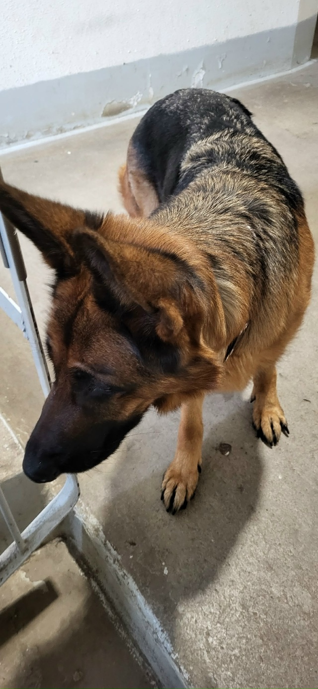 Срочно, пожалуйста, пропустите. Железнодорожный дом 1,п...