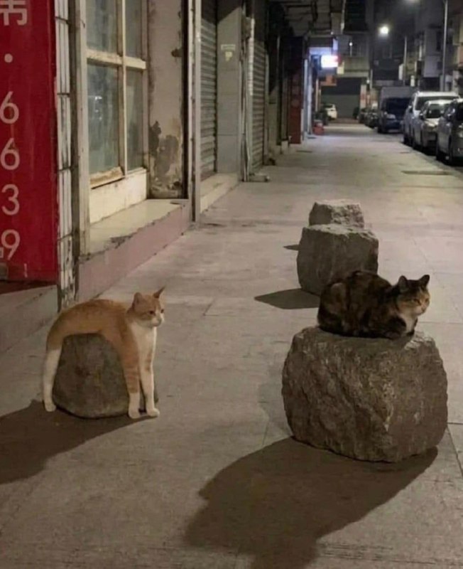 И снова рыжий цвет говорит сам за себя