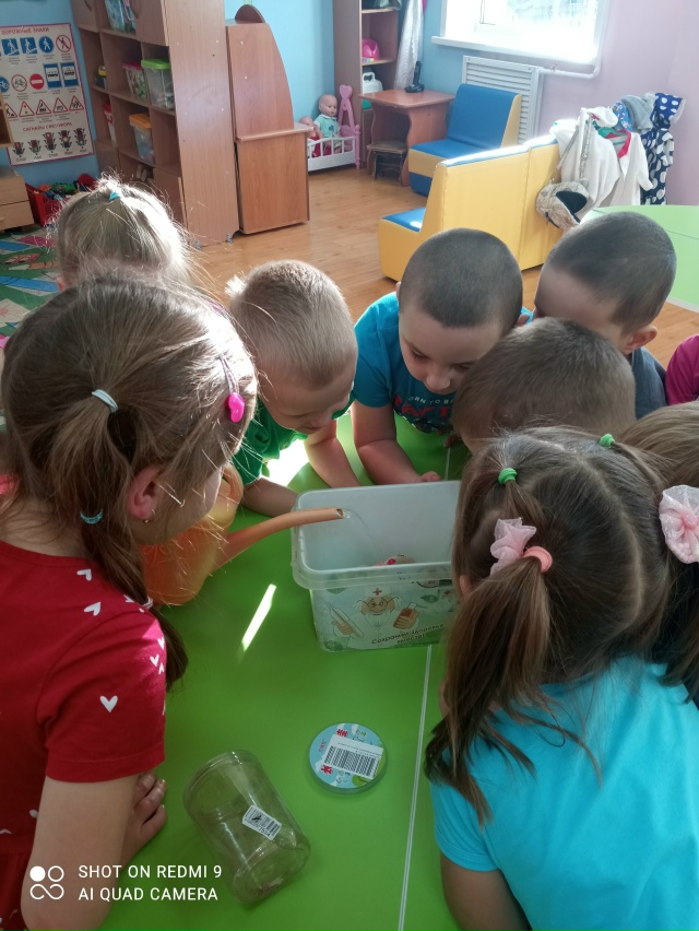 ?Маленькие исследователи: проект «Агрономия» в дейст...