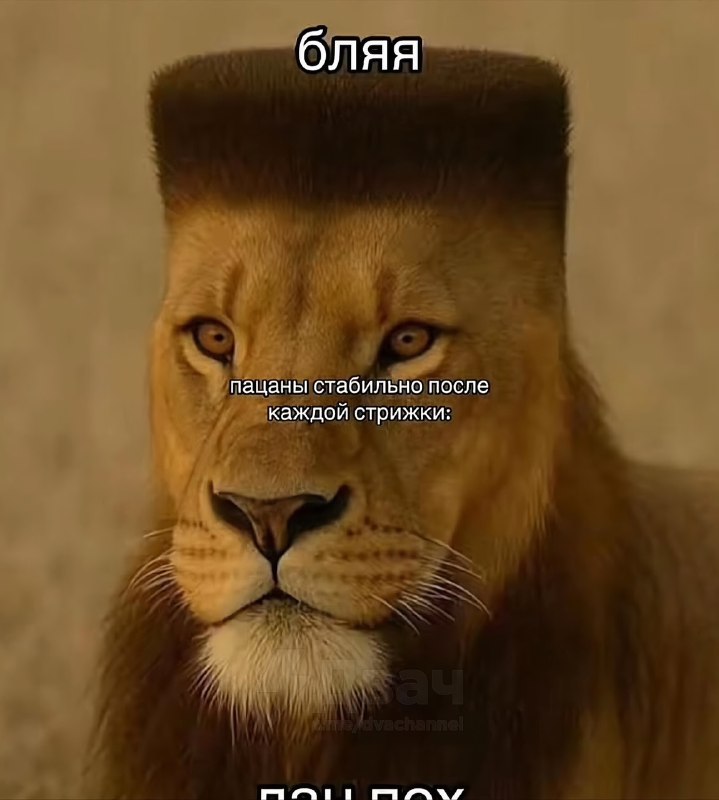 Парни, мы?