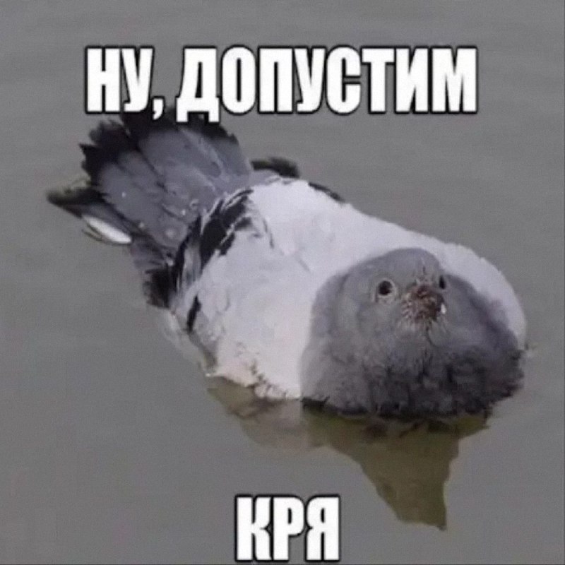 Утренняя подборочка