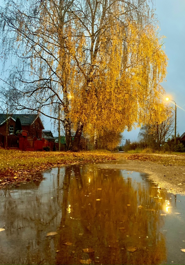Красота в глазах смотрящего
📸Альберта Ханбикова