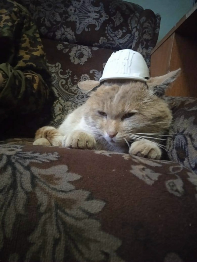 Работяги, тут вот какое дело. У Сан Саныча через неделю ...