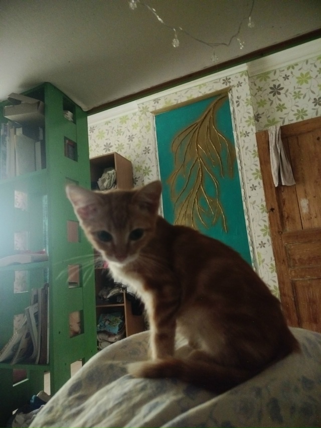 Сплошной подрос!
#руфулуссплошной